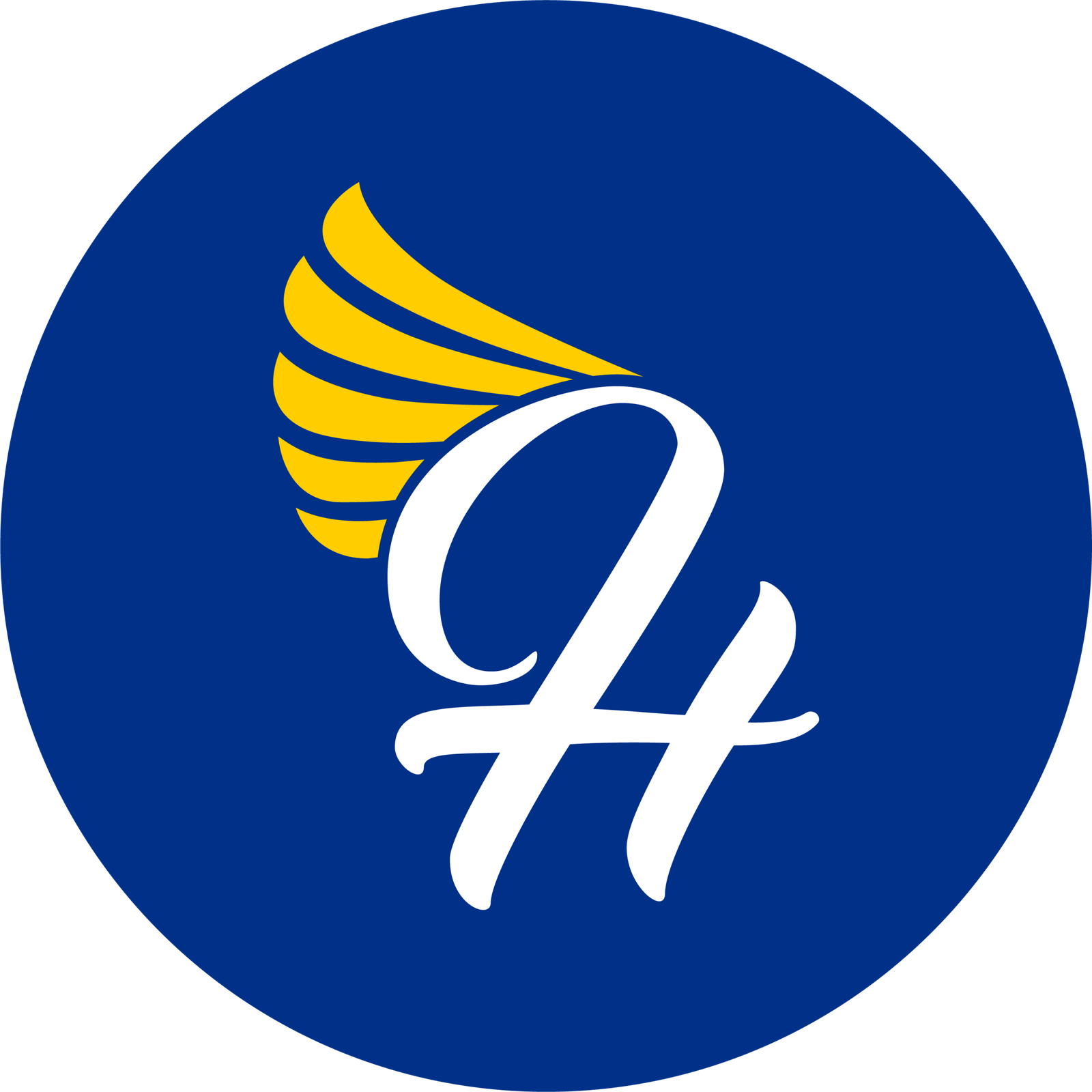 Hern. Optimiza, fortalece y conecta